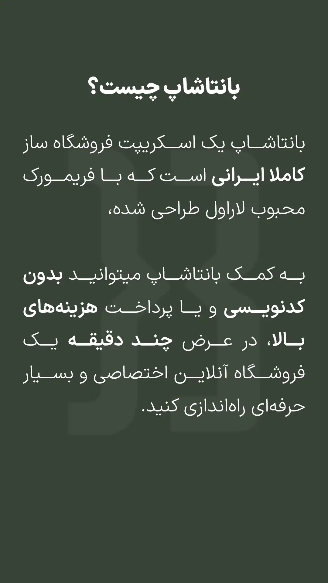 معرفی بانتاشاپ